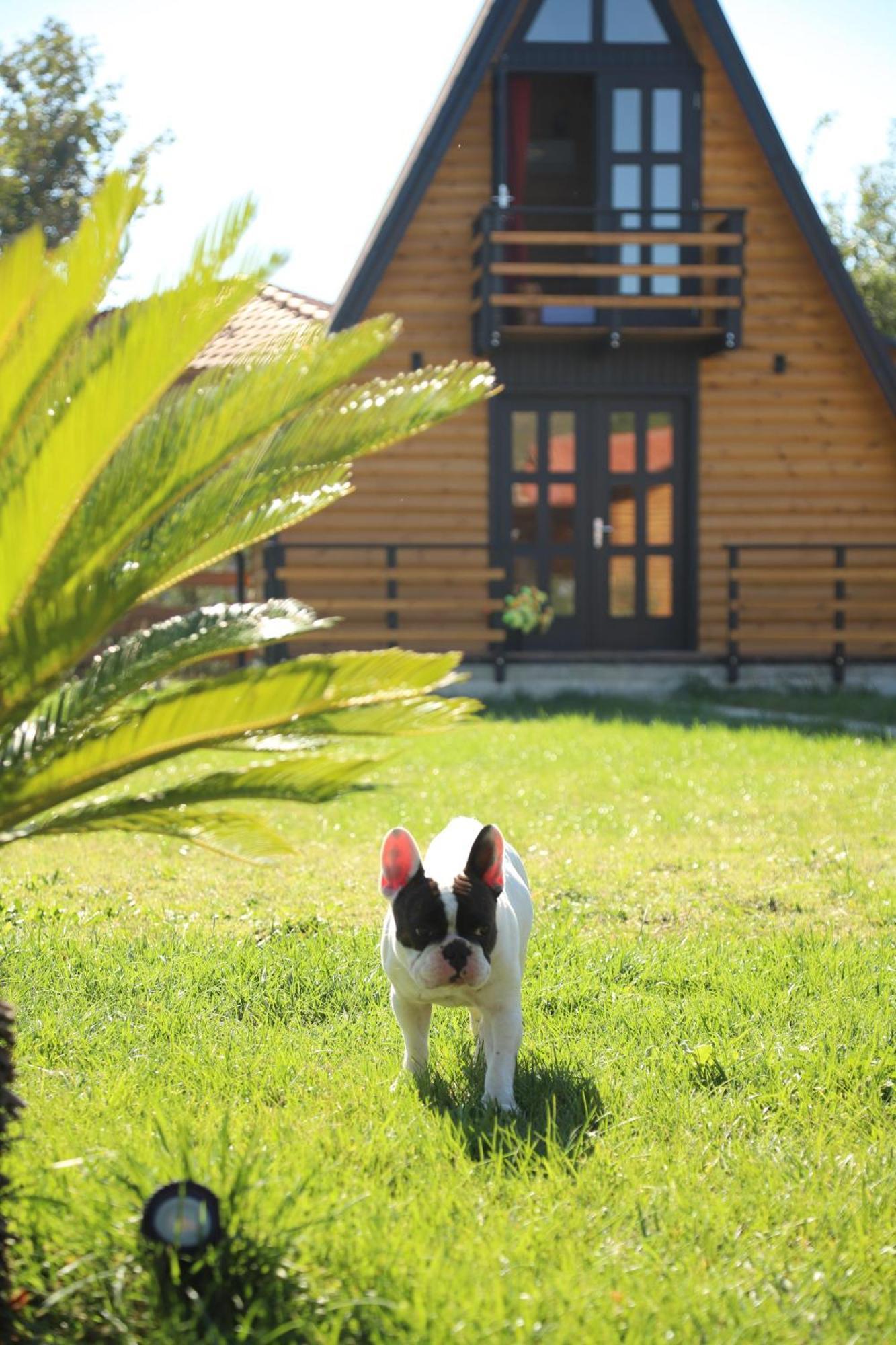 Sancho Farm Albania Villa Memaliaj Eksteriør billede