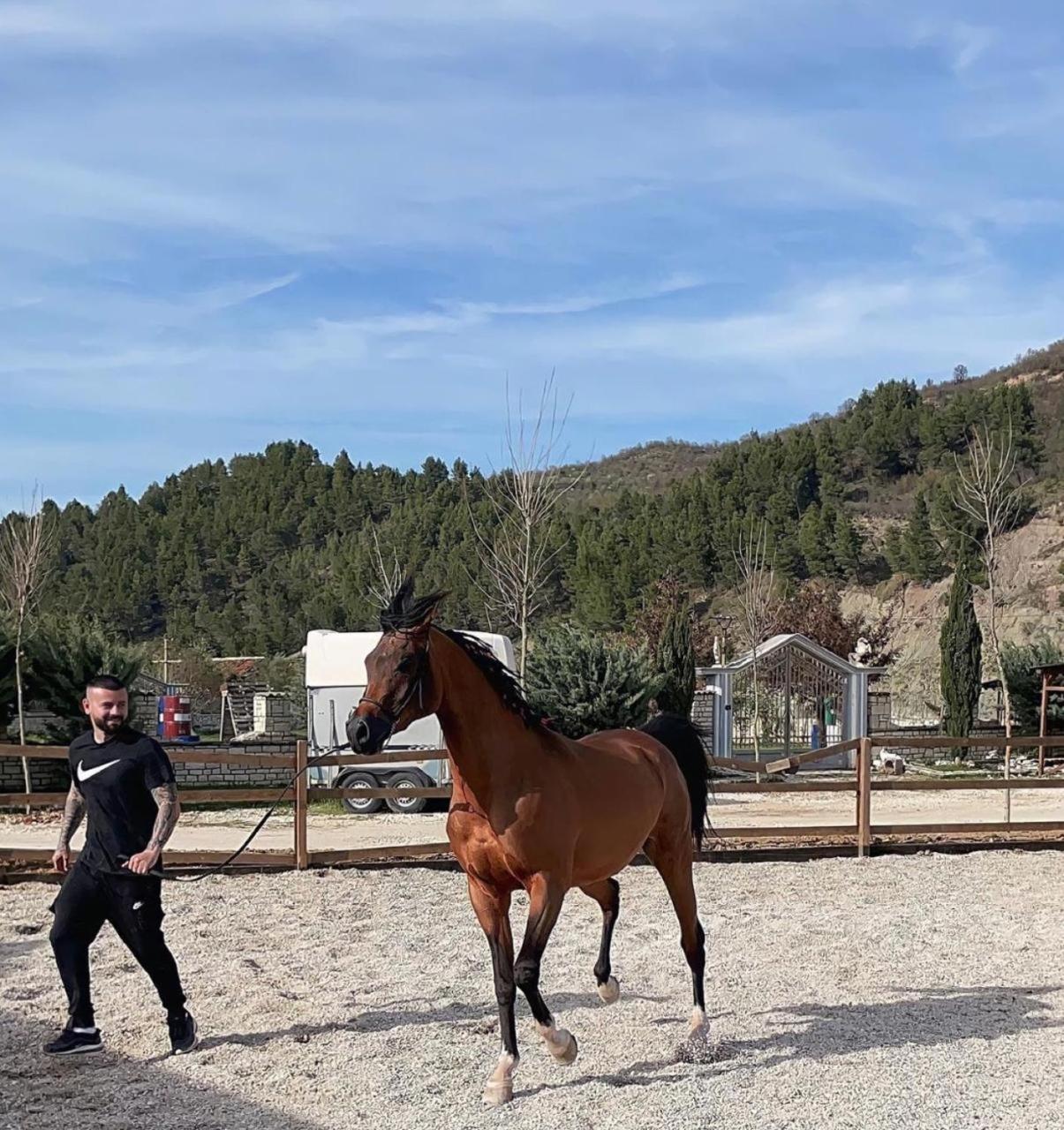 Sancho Farm Albania Villa Memaliaj Eksteriør billede