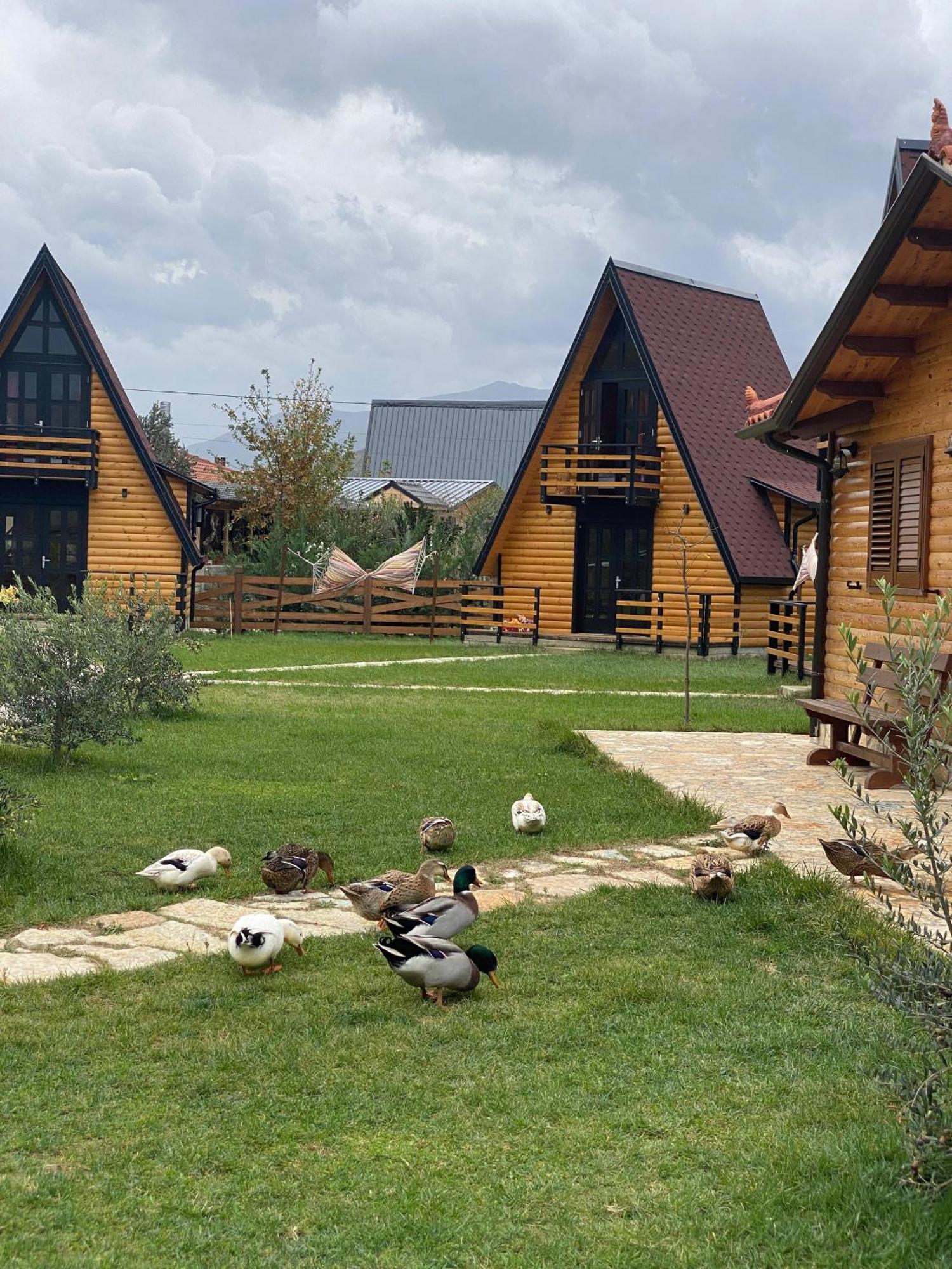 Sancho Farm Albania Villa Memaliaj Eksteriør billede
